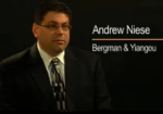 Andrew Joseph Niese