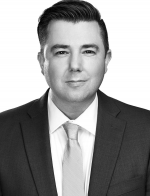 David A. Stein