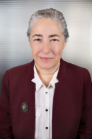 Adria S. Hillman, Attorney at Law PC - Law Firm in New York, NY
