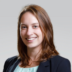 The Erlich Law Office, PLLC - Law Firm in Arlington, VA