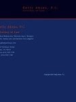 Kelly Akins, P.C. - Law Firm in Dallas, TX
