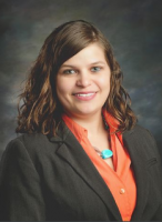 Willis Law - Law Firm in Kalamazoo, MI