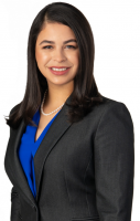 Abraham, Watkins, Nichols, Agosto, Aziz & Stogner - Law Firm in Houston, TX