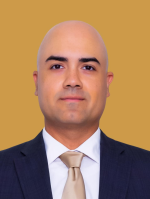 Luis R Toribio