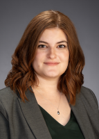 Levene Gouldin & Thompson, LLP - Law Firm in Vestal, NY