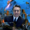 Steven H. Kuh