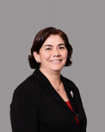 Waldron & Schneider - Law Firm in Houston, TX