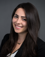 Bleakley Platt & Schmidt LLP - Law Firm in White Plains, NY