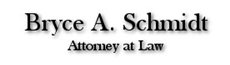 Mr. Bryce Adam Schmidt (Ocala, Florida)