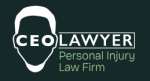 CEO Lawyer Personal Injury Law Firm (Columbia, South Carolina)