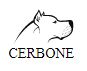 Mr. Adam P. Cerbone (Savannah, Georgia)
