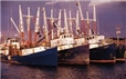 Timothy Patrick Horan (New Bedford, Massachusetts)