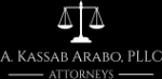 Alivia Kassab Arabo (Northville, Michigan)