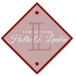 Hollie Lemkin (Costa Mesa, California)