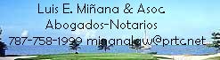 Luis E. Miñana (San Juan, Puerto Rico)