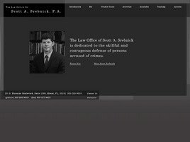 Scott Alan Srebnick (Miami, Florida)