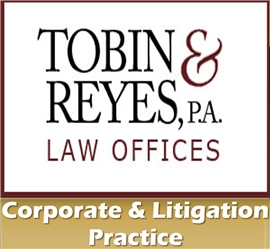 David S. Tobin (Boca Raton, Florida)